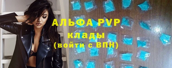 ГАЛЛЮЦИНОГЕННЫЕ ГРИБЫ Покров